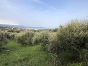 Adelebsen Kreta, Adele: Grundstück mit Meerblick zu verkaufen Grundstück kaufen